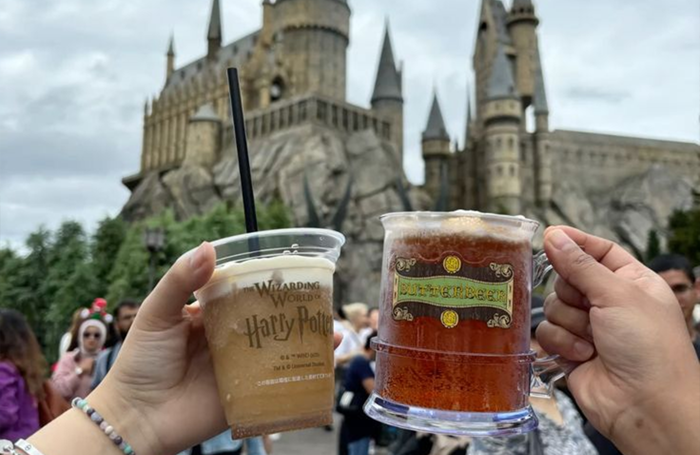 БЭЭЖИН ШУУД НИСЛЭГТЭЙ АЯЛАЛ